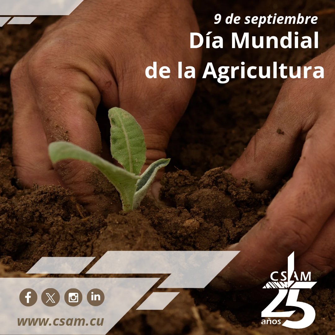 ✅🤎Hoy rendimos homenaje a una de las actividades más antiguas para la subsistencia de la humanidad‼️

🧑🏻‍🌾Una actividad de gran importancia para el desarrollo sostenible de las naciones en el mundo‼️🚜
.
.
.
#CSAM #AMACuba #CitmaCuba #DiaMundialdelaAgricultura #diaagricultura