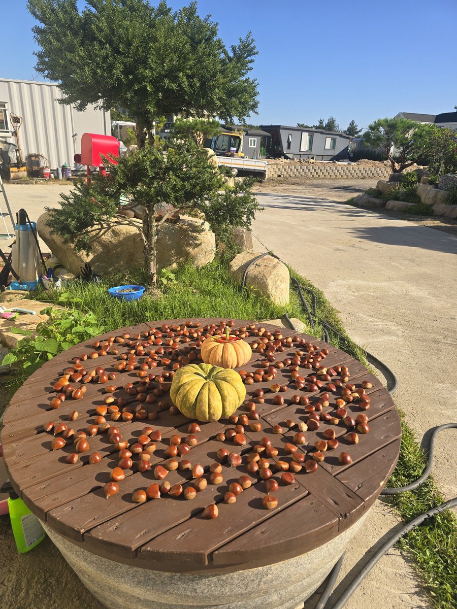 stroby2002's tweet image. 