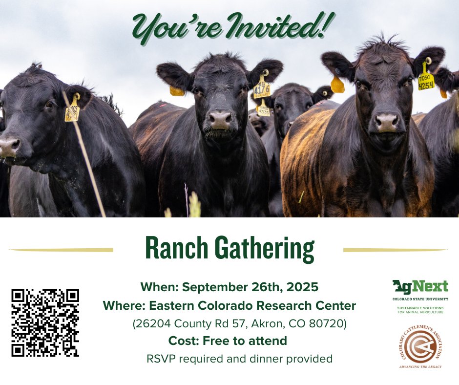 CSUAgNext's tweet image. Join @CSUAgNext &amp;amp; @ColoradoCattle for a Ranch Gathering on Sept. 26th at the Eastern Colorado Research Center!

✅ Explore ongoing sustainability research
✅ Hear insights from CCA on state-specific issues
✅ Network with producers

Register for free: loom.ly/wXGLvh4