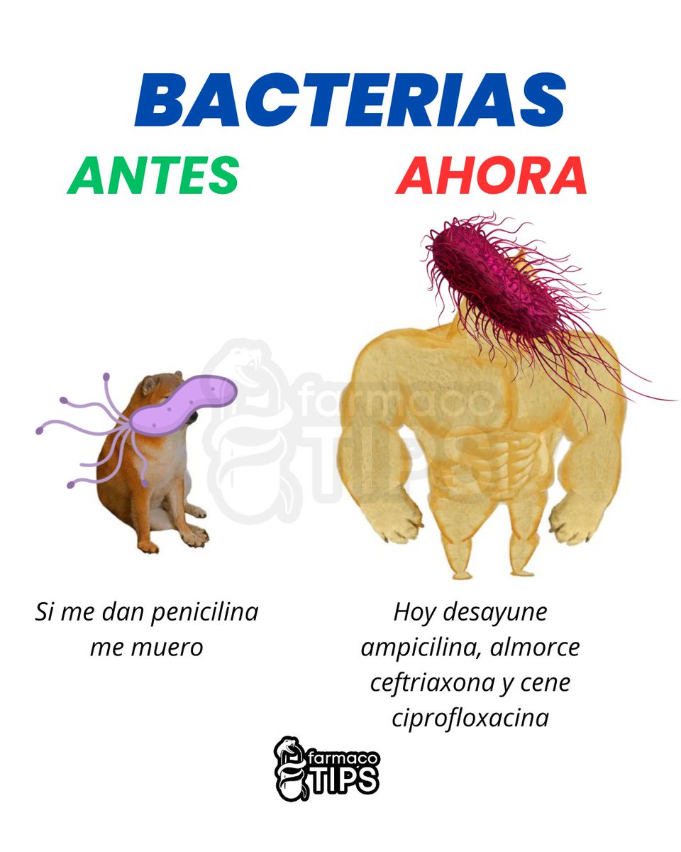 ¡MUY PROBABLEMENTE  ESA GRIPE QUE TIENES NO REQUIERE ANTIBIÓTICO!