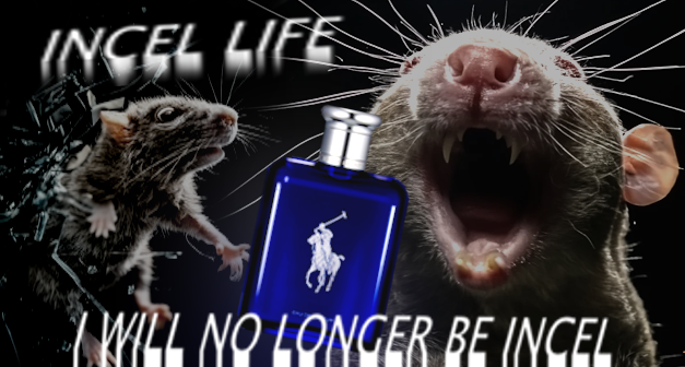 stgggs's tweet image. 