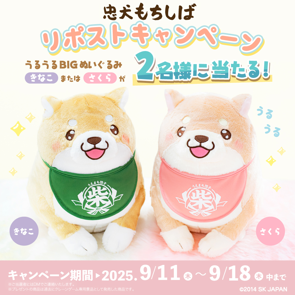 まゆぞんページ まゆぞんYP (@mayuzon07) / X