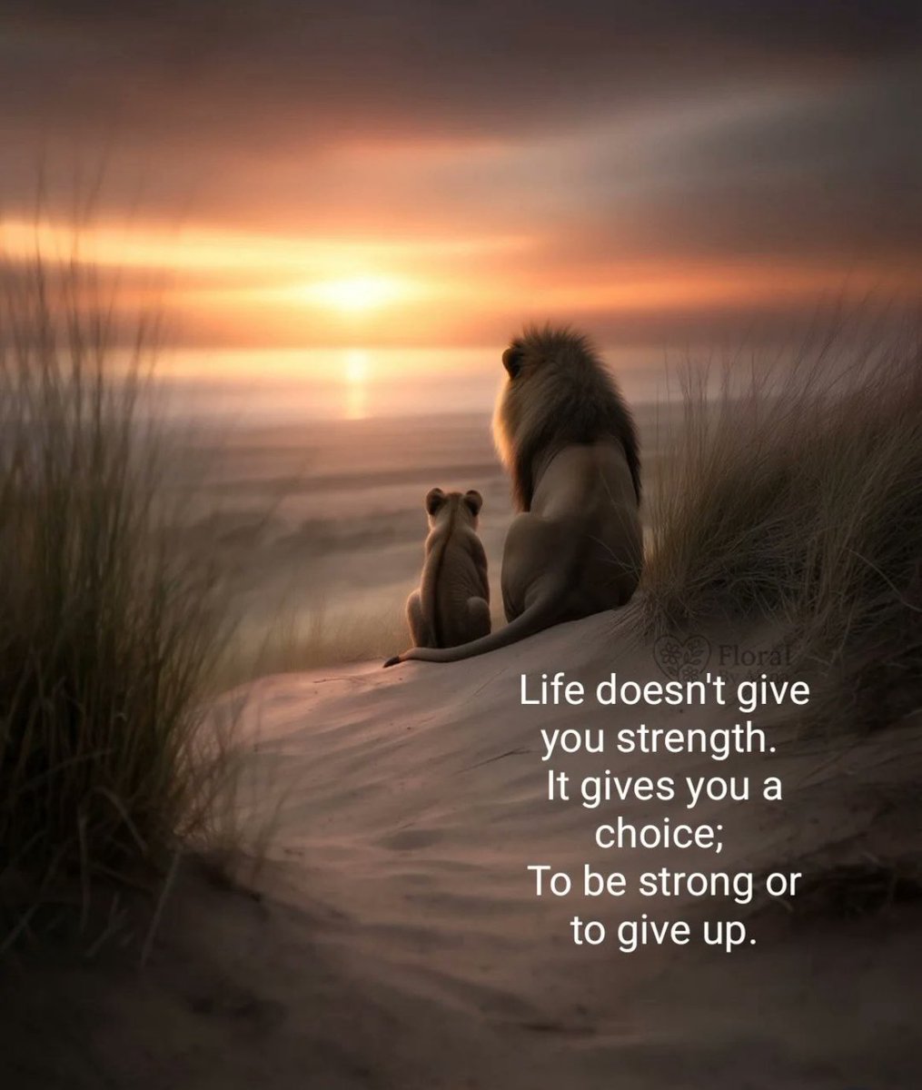 Life__Mastery's tweet photo. https://t.co/bYYU3ZxTvz