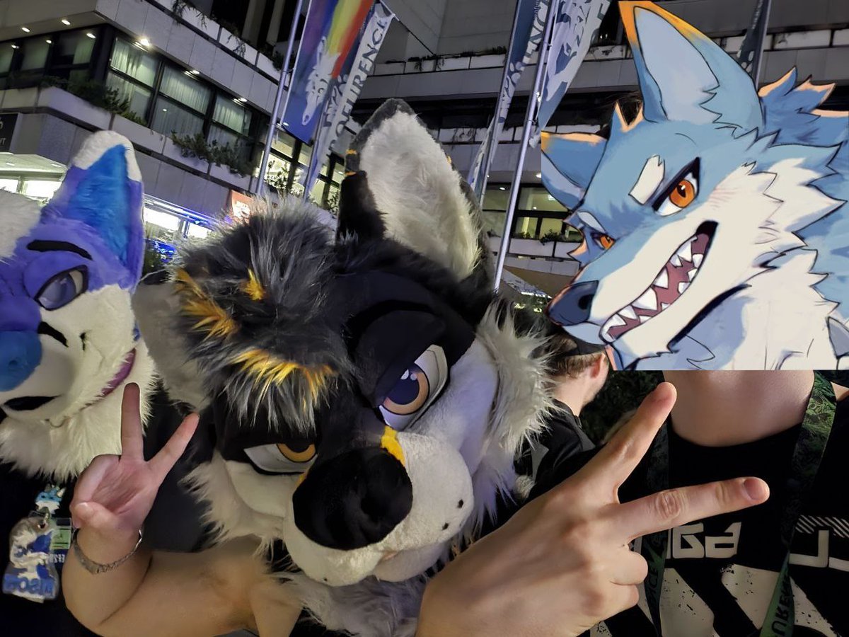 Voi 🔜 CFZ tweet media