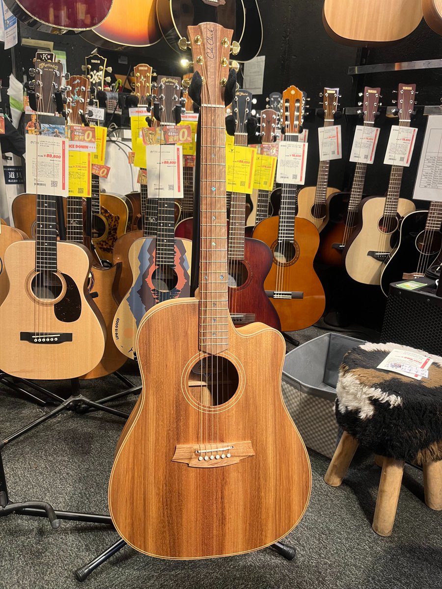 コールクラーク FL2AC アコースティックギター Cole Clark COLE CLARK