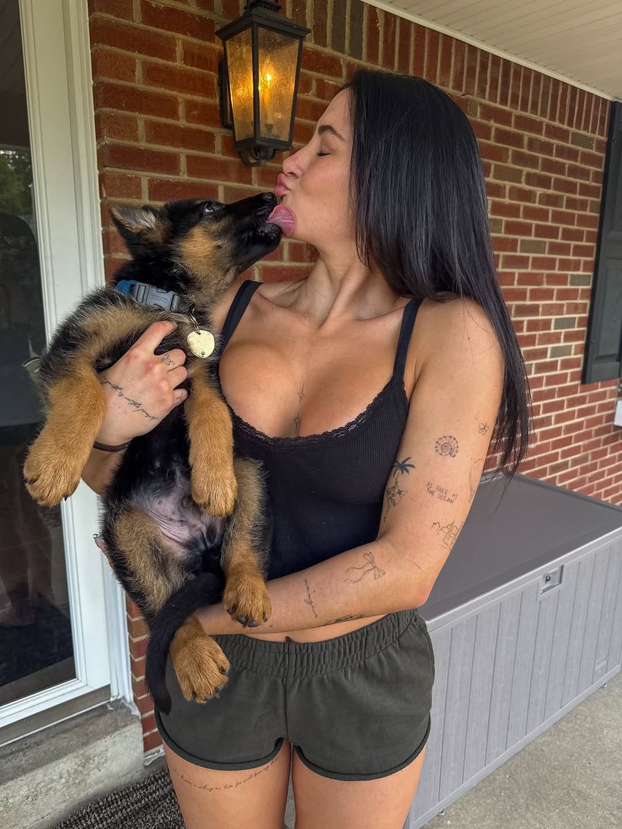 DylanLabrum's tweet image. hard launching Bojack to the feed