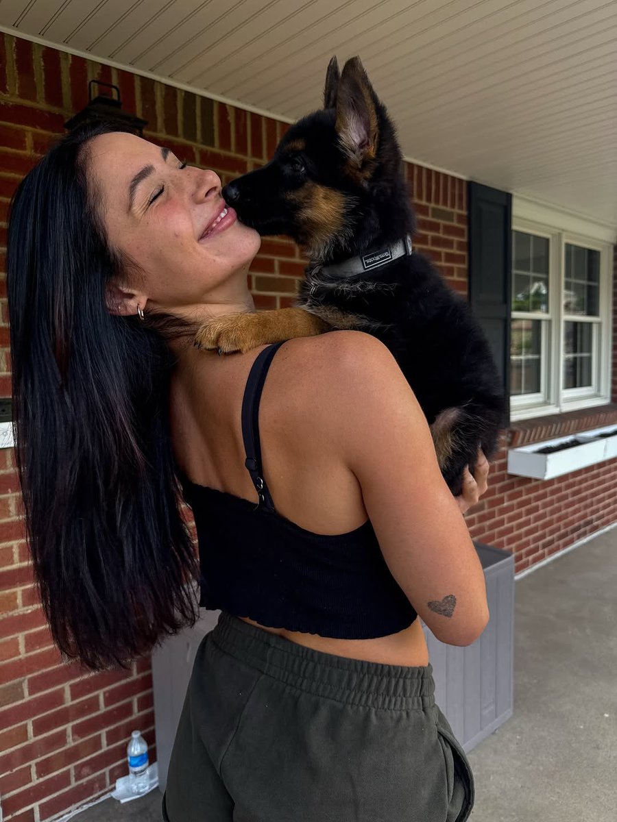 DylanLabrum's tweet image. hard launching Bojack to the feed