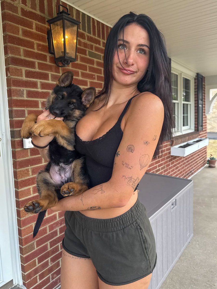 DylanLabrum's tweet image. hard launching Bojack to the feed