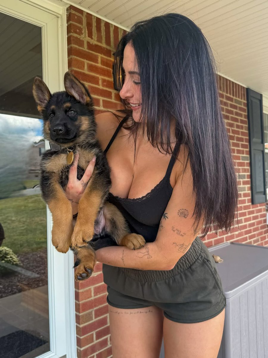 DylanLabrum's tweet image. hard launching Bojack to the feed