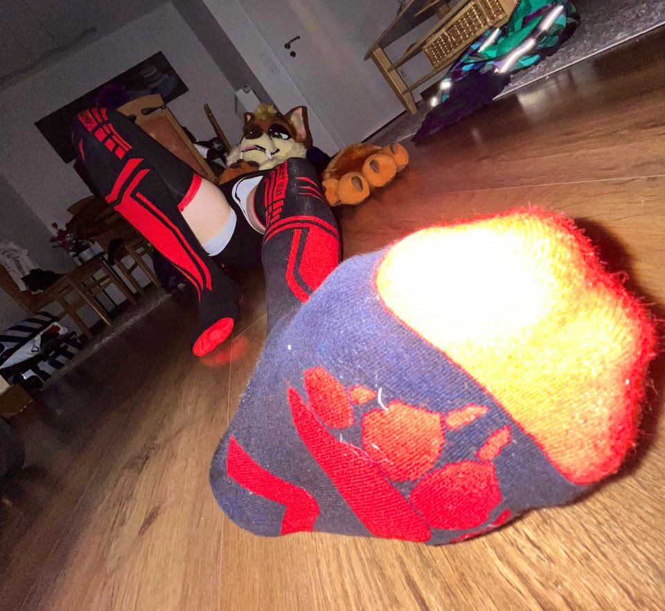 FoxtrotDan's tweet image. I’m obsessed with @RolenFox’s suit, can’t get enoughhhh

(socks and warmers: @AwruffGear )