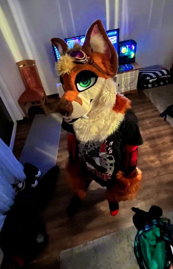 FoxtrotDan's tweet image. I’m obsessed with @RolenFox’s suit, can’t get enoughhhh

(socks and warmers: @AwruffGear )