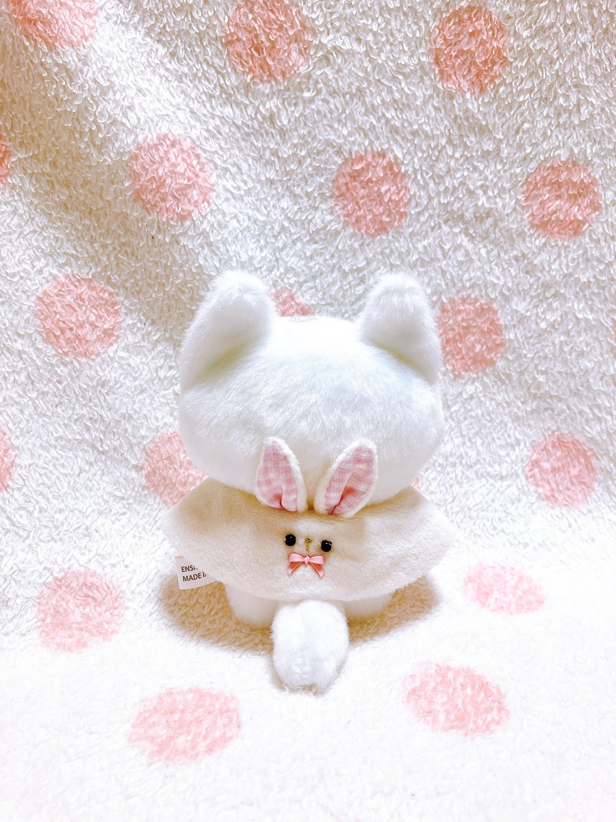 ちみきたさんが着ているのは、おゆこさん（<a href="/1005m__/">おゆこ</a> ）のところで購入させて頂いた、念願のあにまるつけ襟です🐰💕💕
かわいい😭🫶🏻✨✨✨
次は🐶ちゃんも欲しい❣️🐱ちゃんも❣️