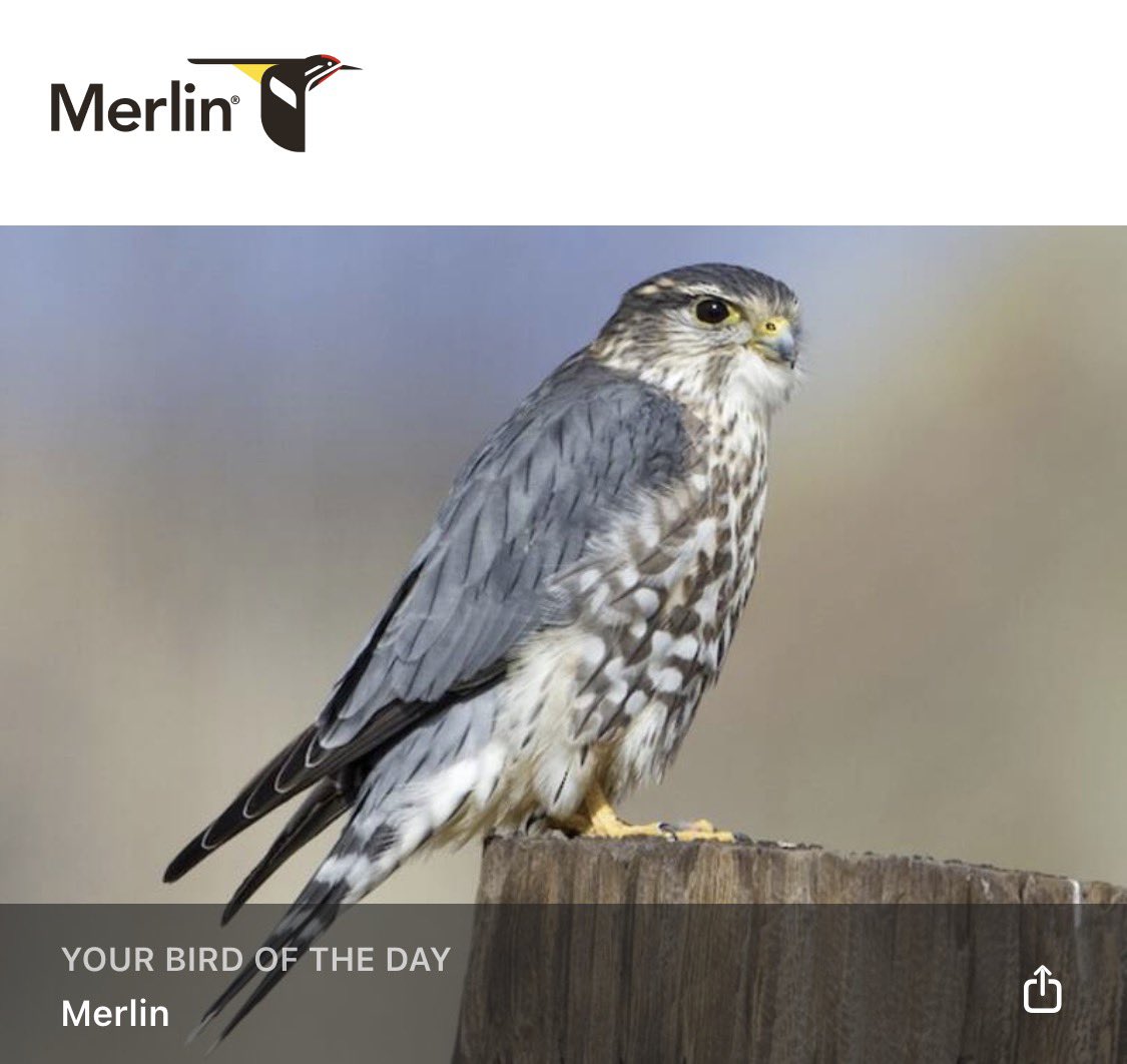 zachhammer's tweet image. 