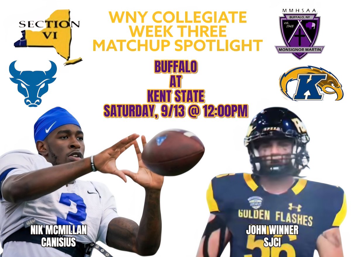 VSE Athletics tweet media