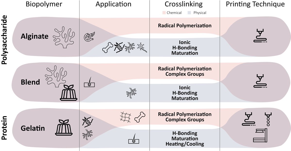 Gels_MDPI's tweet photo. #Highly_cited

📢 "Biopolymers for Tissue Engineering: Crosslinking, Printing Techniques, and Applications" David Patrocinio et al.

🔗https://t.co/FeogC9OPMH

#natural_polymers #hydrogels #crosslinking #bioprinting_techniques #tissue_engineering https://t.co/3uW8mUeWXs
