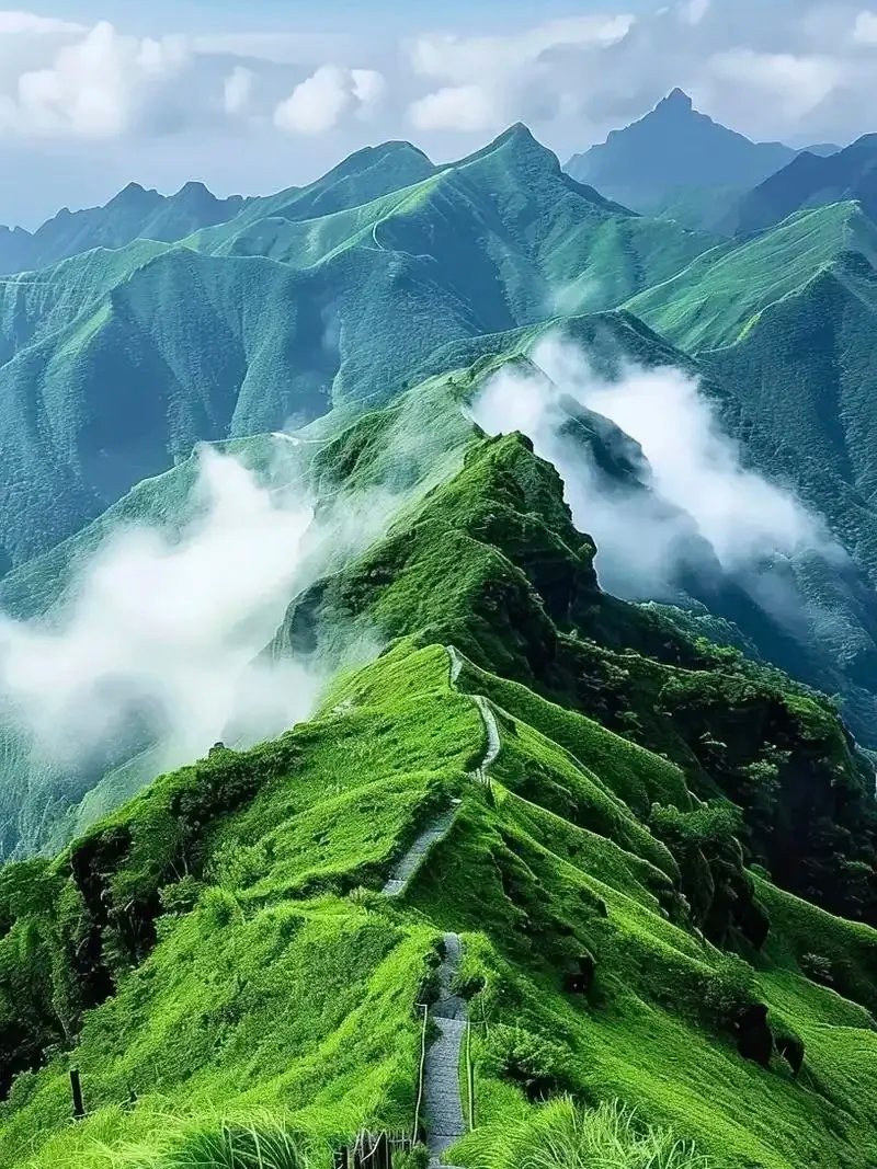 Sky1855884's tweet photo. 武功山——徒步者天堂，十万亩高山草甸冠绝华夏。#大美中国#互关互赞 https://t.co/ojjDneApdb