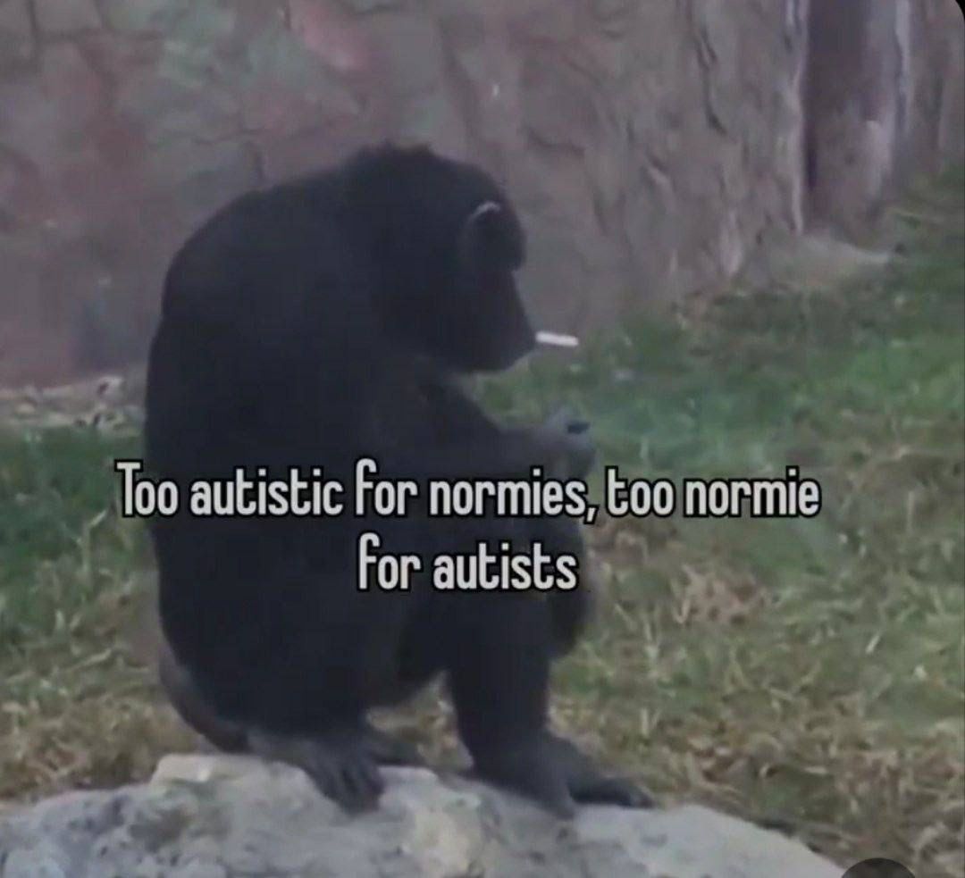 no context memes tweet media