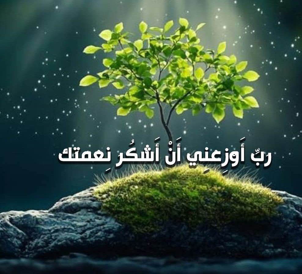 اللهم إن الخير منك، والفضل لك، 
 فـ لك الحمد كثيراً"♥️