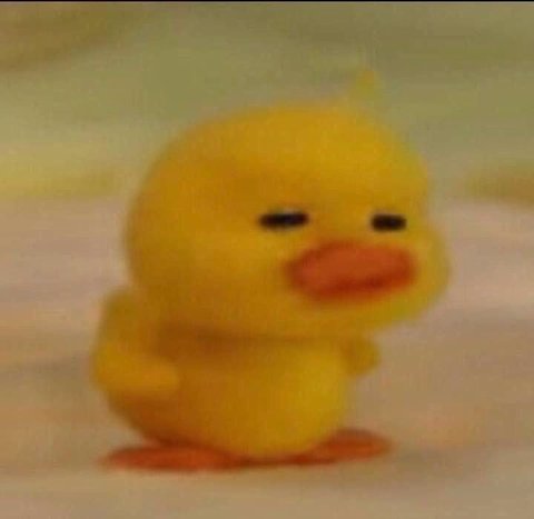 진짜 귀여븐 녀석💛💚🩵