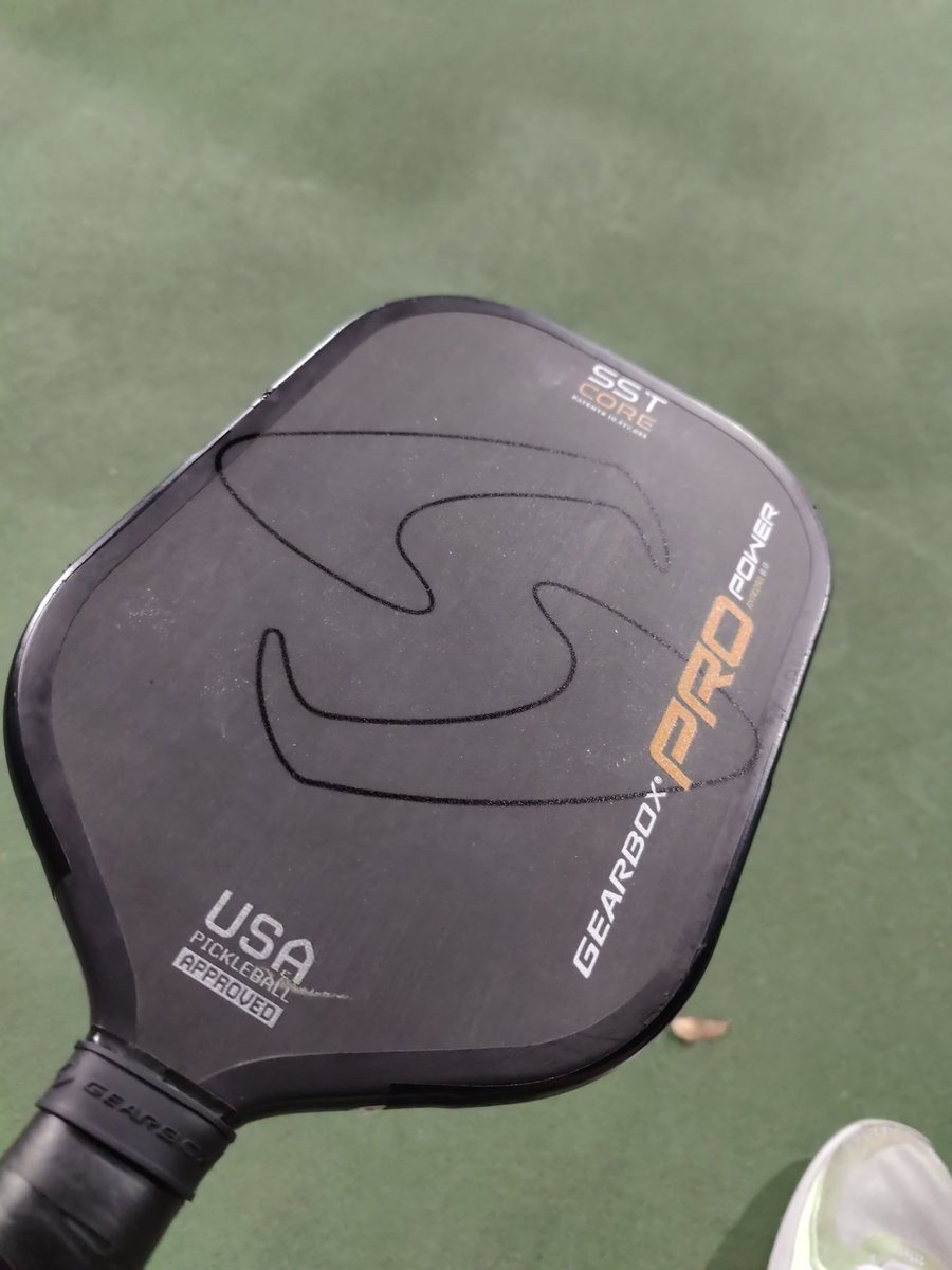 After a much needed rest.
Back to the grind, playing #pickleball , with some peeps.
#sololeveling #miliguita