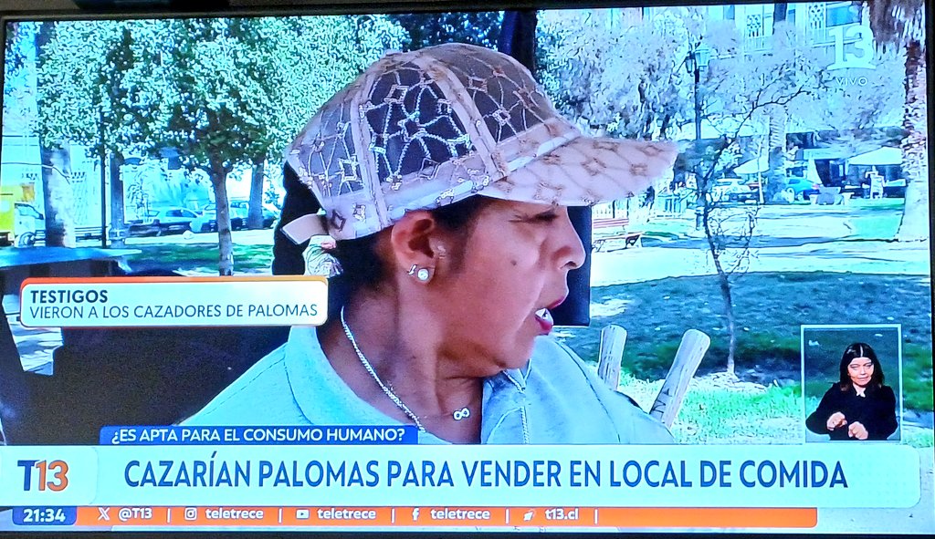 cristobalreus's tweet image. 🤮🤮🤮🤮 #Palomas @sagchile @ministeriosalud #Criptococosis  #Salmonelosis @SeremiSaludRM @Veteromed @alegriagonzaa