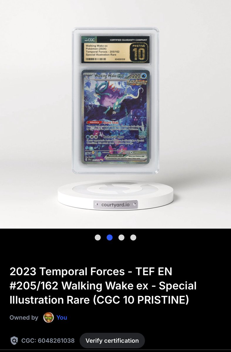 Is this good!? <a href="/Courtyard_io/">Courtyard.io</a>