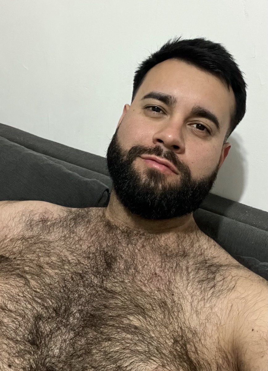 El Bearcito (@luisporta01) on Twitter photo 