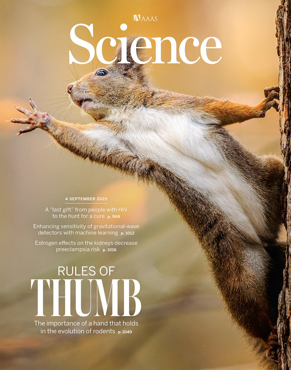 chris sweeney tweet media