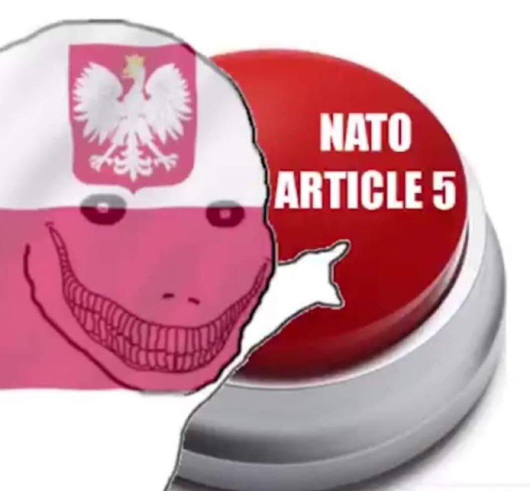 Armand Domalewski tweet media