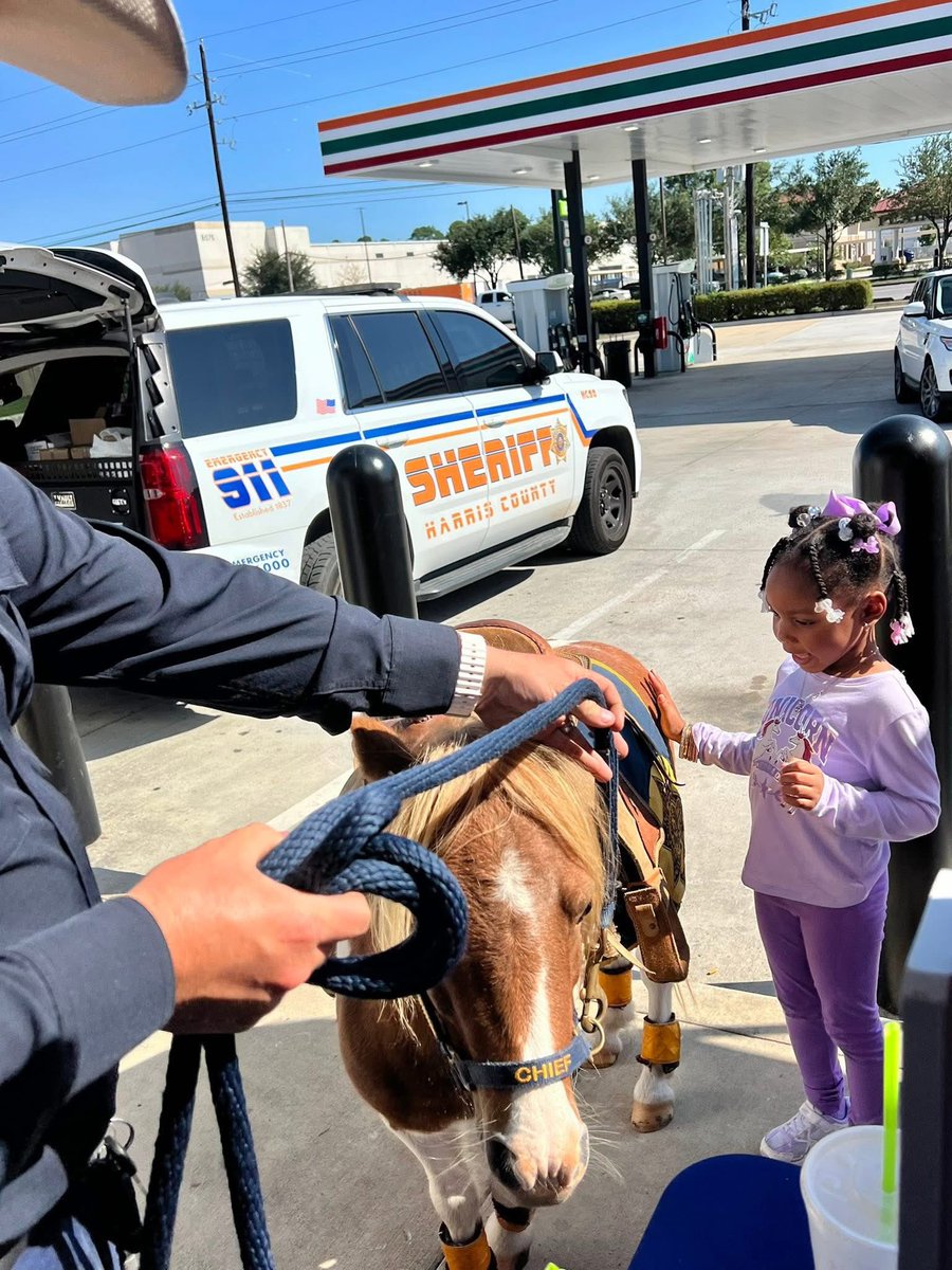 ChrisA_141's tweet image. The HCSO Mounted Patrol Unit saddled up for Operation Chill Day at 7-Eleven! 

Deputy Talbott, along with Chief, our mascot, were there to assist our HCSO Community Engagement Team with safety tips, connect with families, and bring plenty of smiles.
#HCSO #HCSOTexas #HCSOMounted