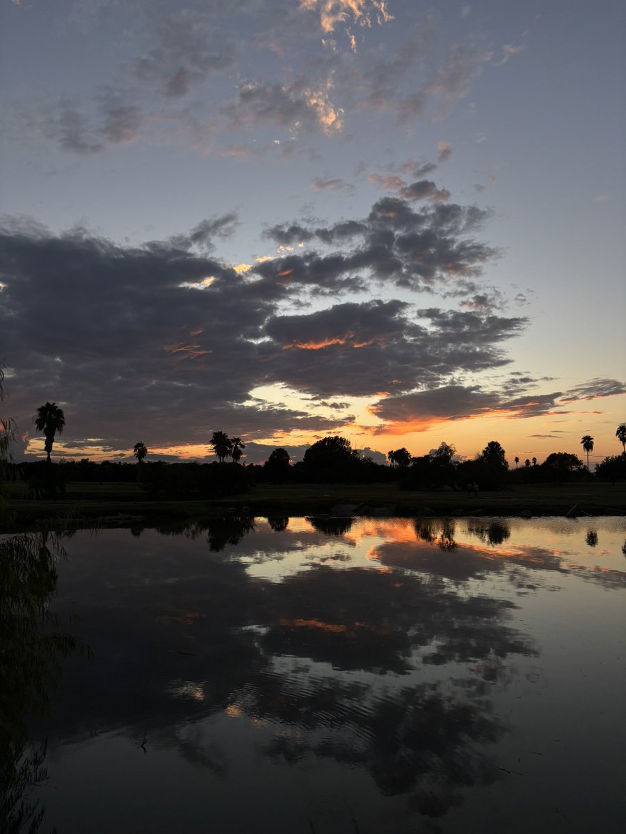 GerardoGarzaV's tweet photo. Sunset https://t.co/Nja4TTHquf