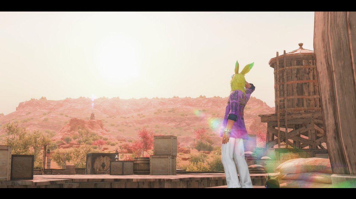 SunbathingLizer's tweet photo. Look little Eheeya, the sun! https://t.co/KPw2T3DL4E