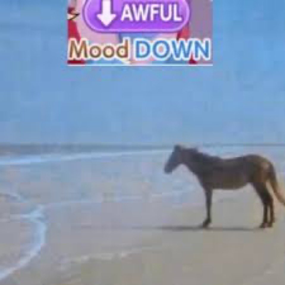 I’ve been cooped up in my bed all day about haru