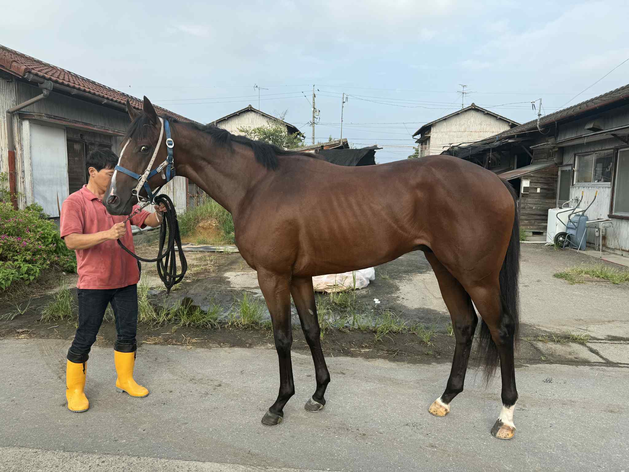 Akito UCHIYAMA (@dr_robert12) / X