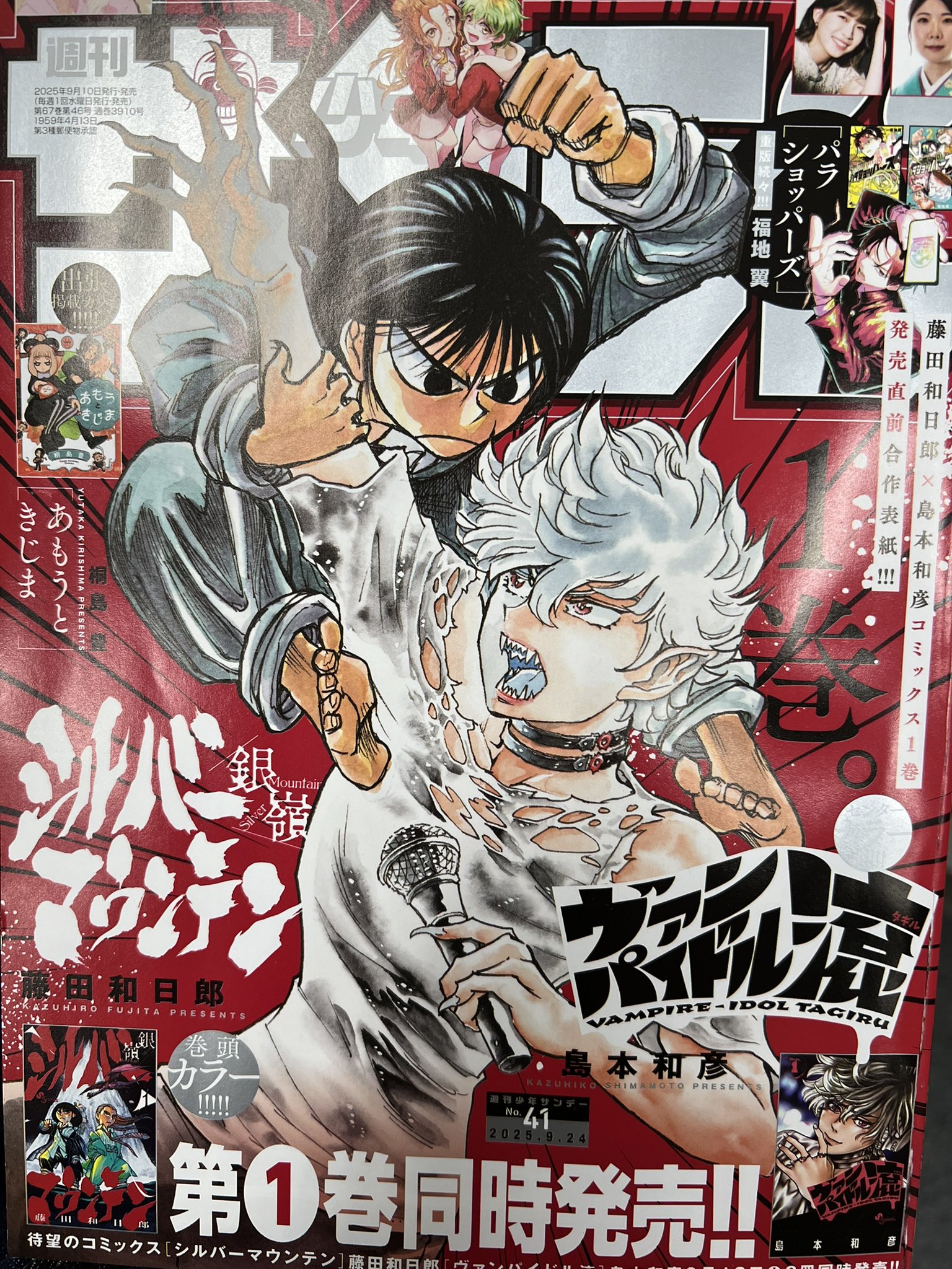龍と苺 龍と苺 (17) (少年サンデーコミックス) | 柳本 光晴 |本 | 通販