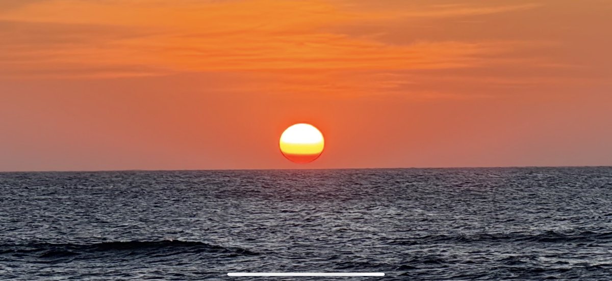 COY PETERMAN (@coypeterman) on Twitter photo 