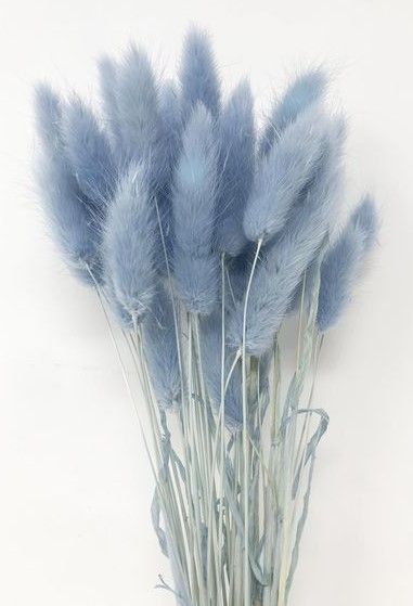 사주영 (@sjmnewf0b0ms02) on Twitter photo 