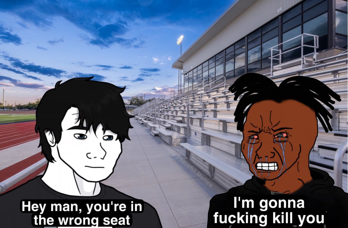 Mostly Peaceful Memes tweet media