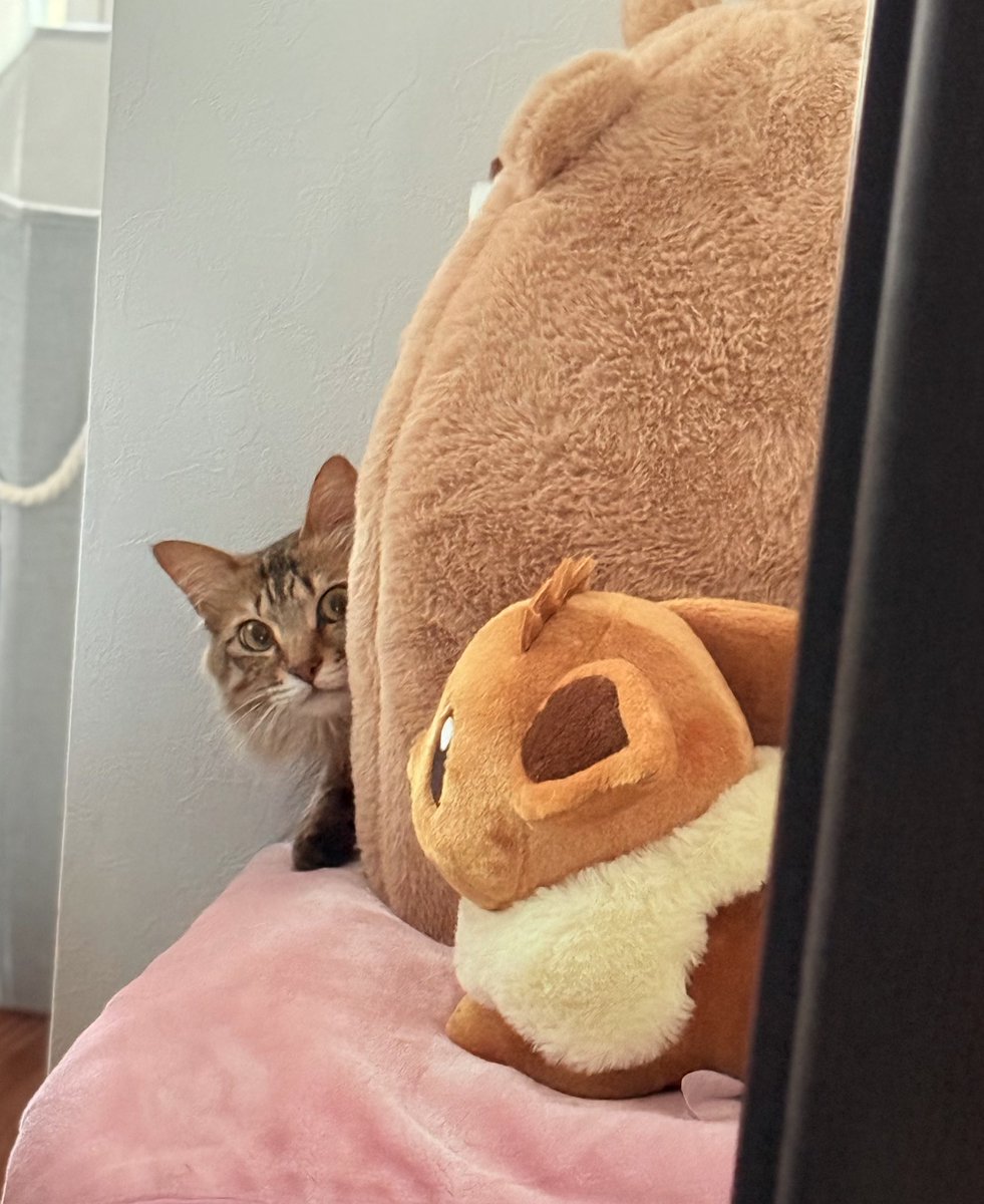 Nat0pi's tweet image. #そんな目で見てくれてありがとう