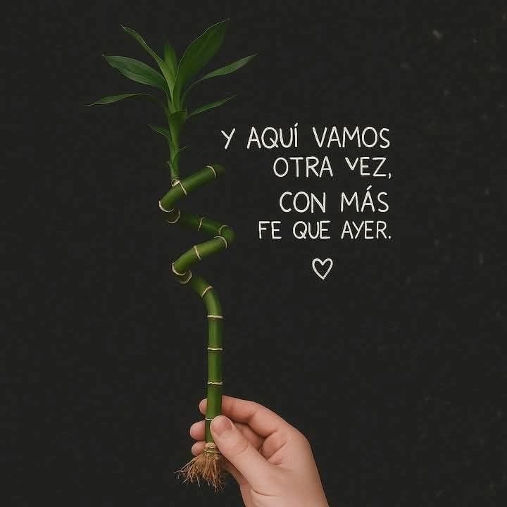 DevocionalesCom's tweet photo. @VidaFamiliarCo | #FamiliasSólidas |   La familia es muy valiosa para nuestro amado Padre celestial. Usted debe comprometerse cada día a fortalecer la relación con todos en el hogar. No estará solo en el proceso, Dios le ayudará.
https://t.co/KSxKVT8H0W https://t.co/PebdF48xq9