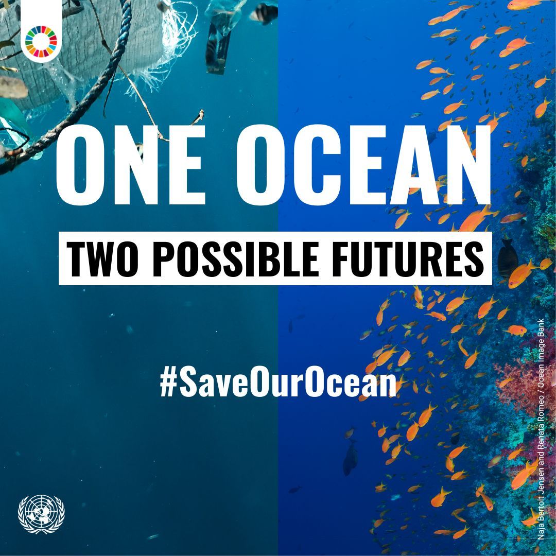 UNGeneva's tweet image. Less than 20% of the world’s ocean has been explored so far. That is not a lot. 

But it is enough for us to know that the ocean 🌊 is threatened by global warming, acidification &amp;amp; pollution.

👉  buff.ly/4h0gbsw  
#OceanDecade #SaveOurOcean