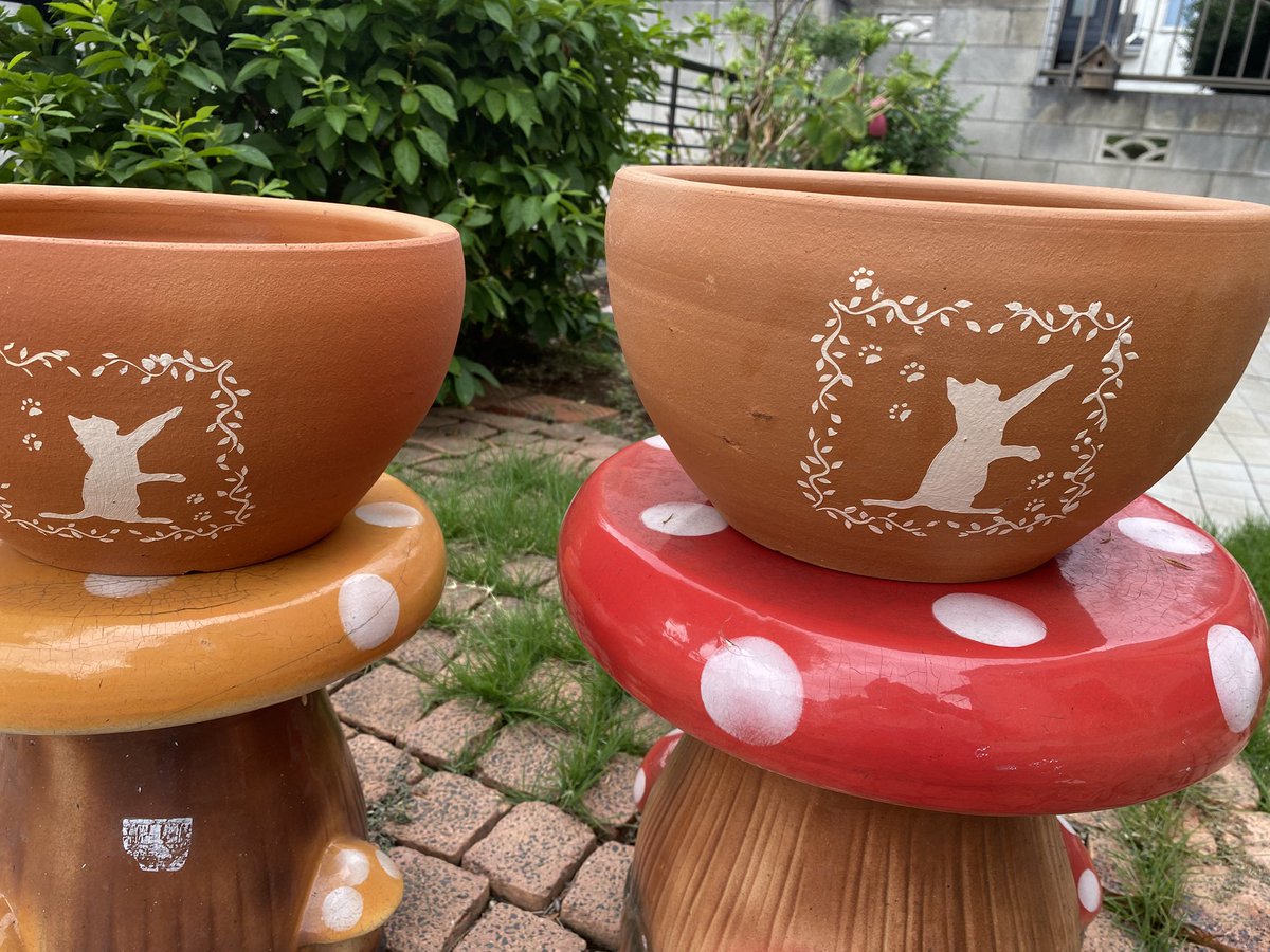 Qoo13598889's tweet image. 昨日、半額になっていた鉢🪴を
2つ買ってきた(^^)v
(内径25cm)
この白猫を…黒🐈⬛に塗ろうか
迷い中…
#庭 #黒猫❓ 
牛くん達は無事に放牧🐮
#牛くん