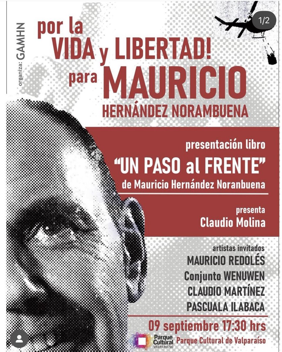 Pao Hube 🇨🇱 tweet media