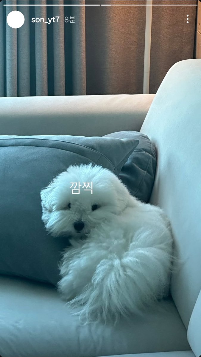 250910 영택 인스타스토리 행복이
