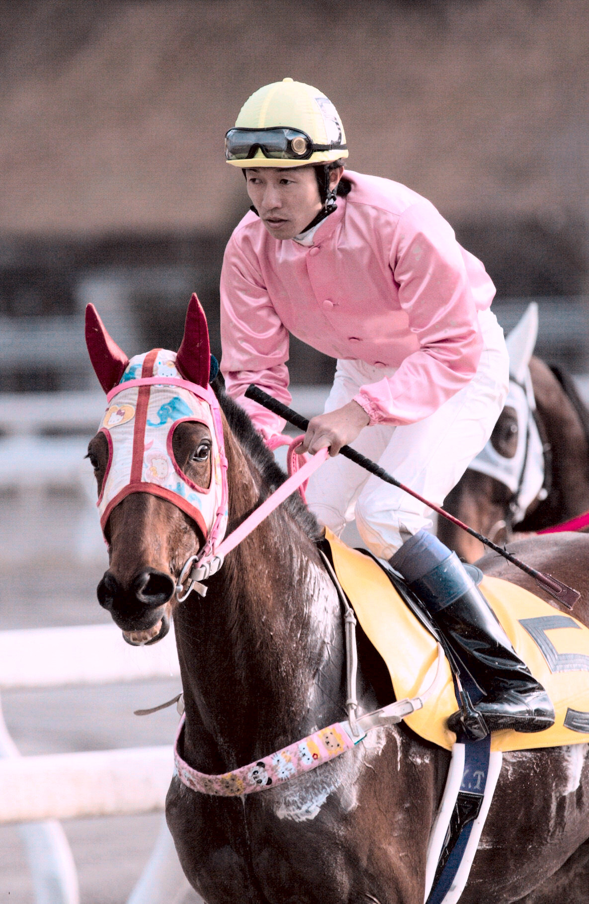高知競馬 ハルウララ号 根付け　#1 高知競馬 ハルウララ号 根付け #1