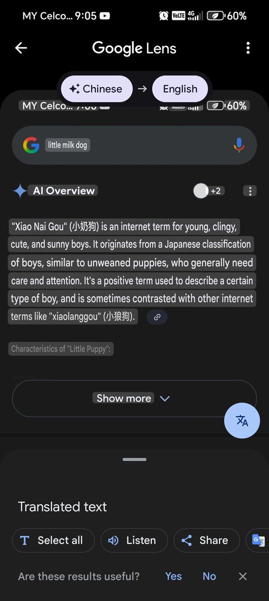 I just found out "little milk dog" is actually a chinese term for a twink lmao
I was like "oohh....No wonder why some (probably Chinese) artists draw MK as a dog... Oh..."
