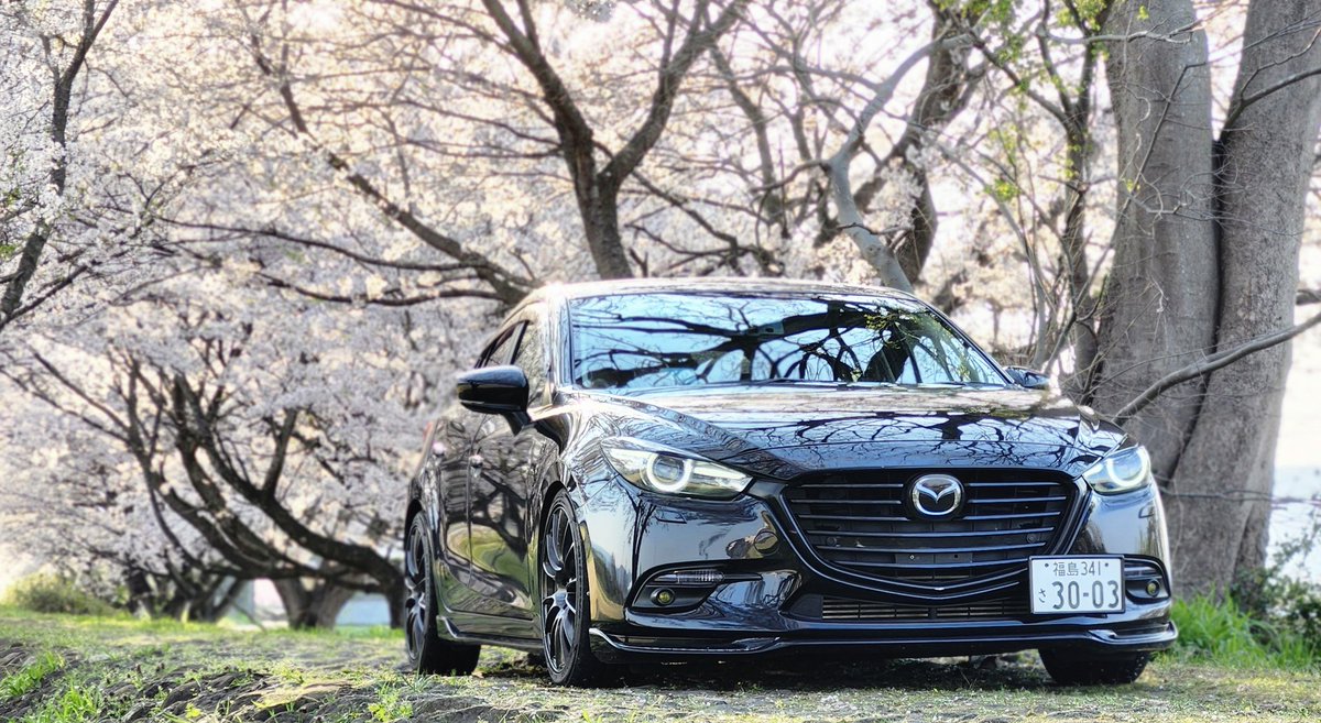 chai 🐇🏍️🚗 tweet media