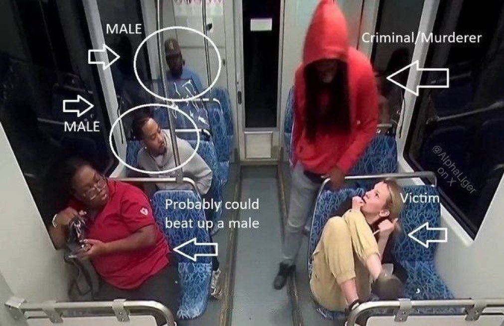 Lo siento, pero esta chica murió lejos de su país sola y rodeada de animales.