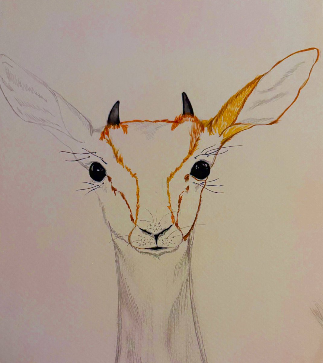 BriMarieCrown's tweet photo. Unfinished Sketch Update #ArtistOnTwitter #artist #Trending #watercolor #art #TikTok https://t.co/RYALaEUwSJ