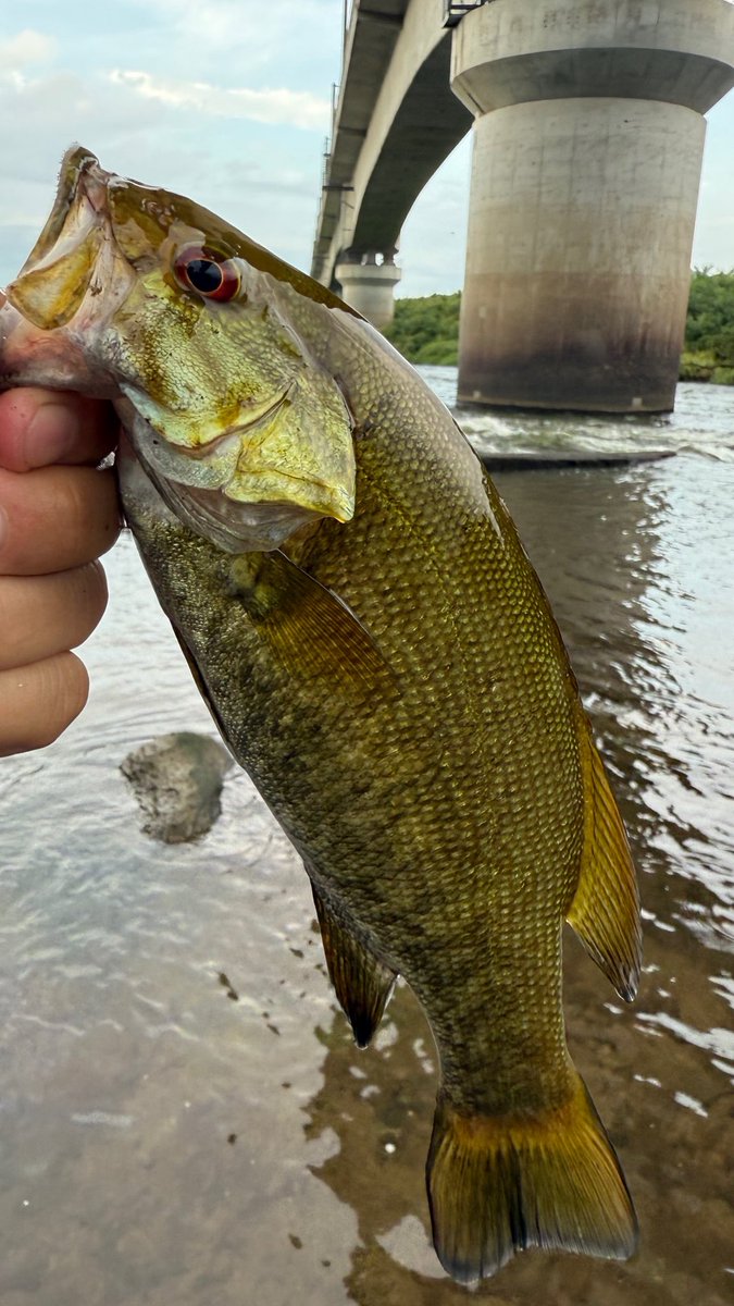 仕事帰りに軽く🎣